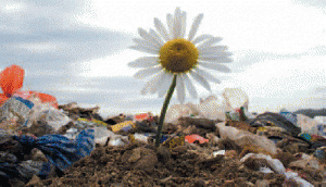 discariche1